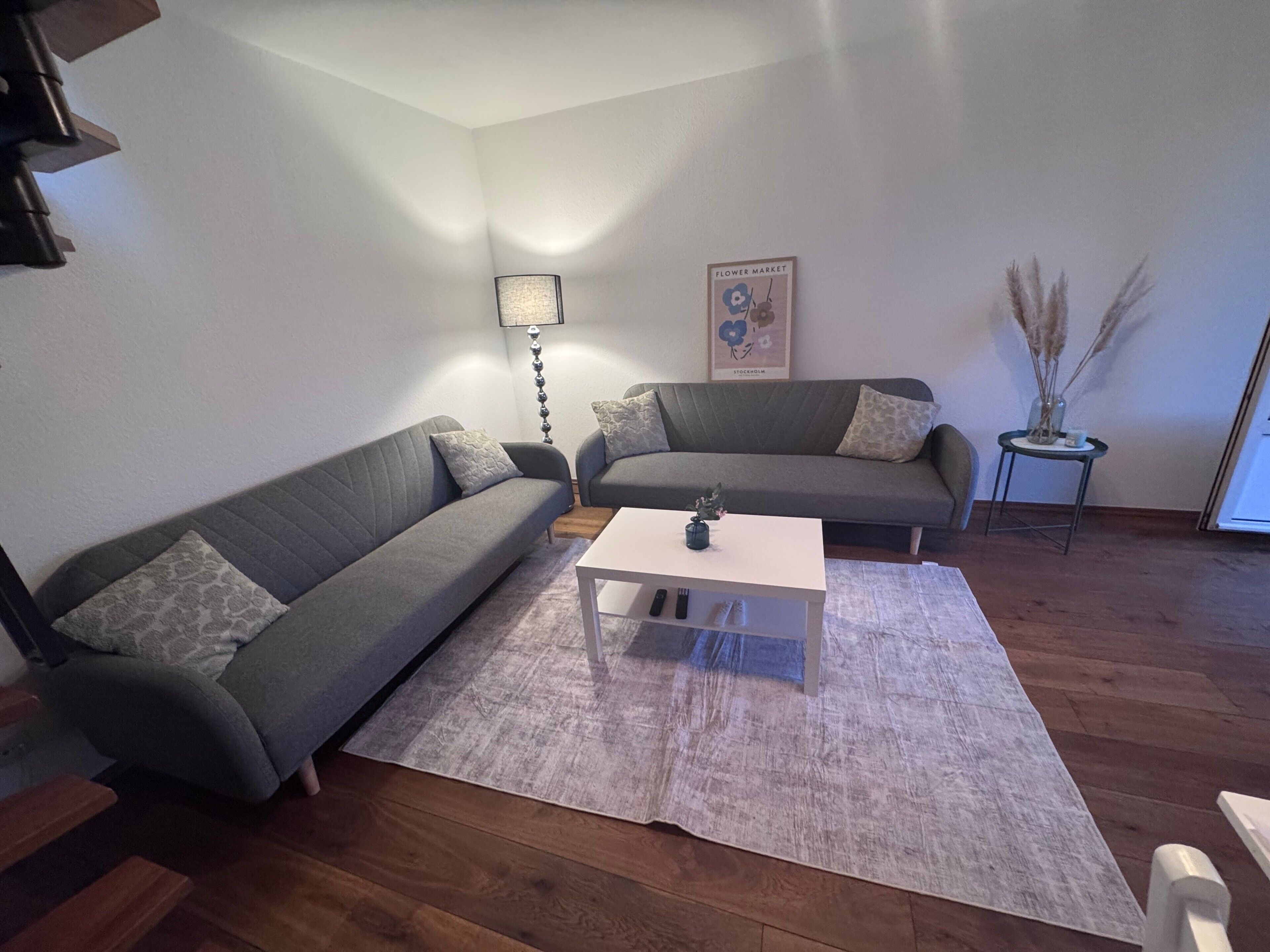 Fernseher