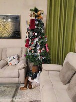 Deluxe Studio Suite, Garden View | Living area | 24-inch Smart TV with digital channels
