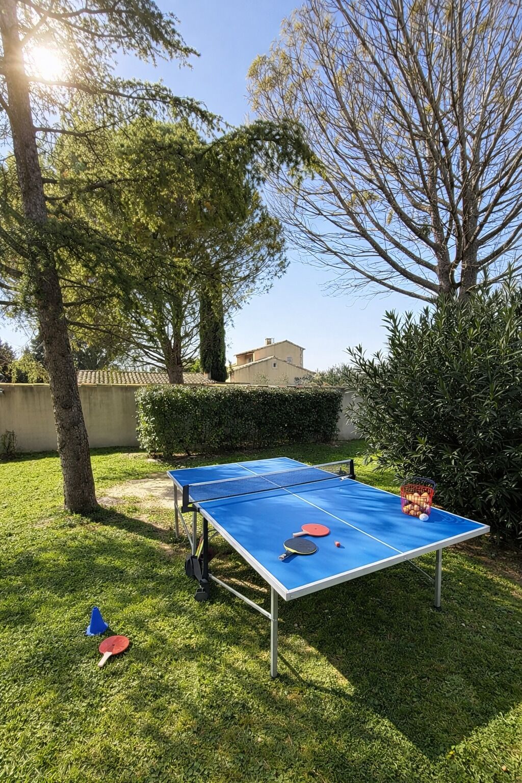 Een tafeltennistafel buiten, met twee rackets en een bal, omringd door gras en bomen.