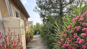 A gravel pathway flanked by plants and a building with a tiled roof. - Studio 2 pers 5 min from the center of Saint Rémy de Provence, shared swimming pool (Saint-Rémy-de-Provence)
