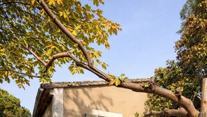 A rustic building with a gravel patio, a table with chairs, and a small garden area. - Studio 2 pers 5 min from the center of Saint Rémy de Provence, shared swimming pool (Saint-Rémy-de-Provence)