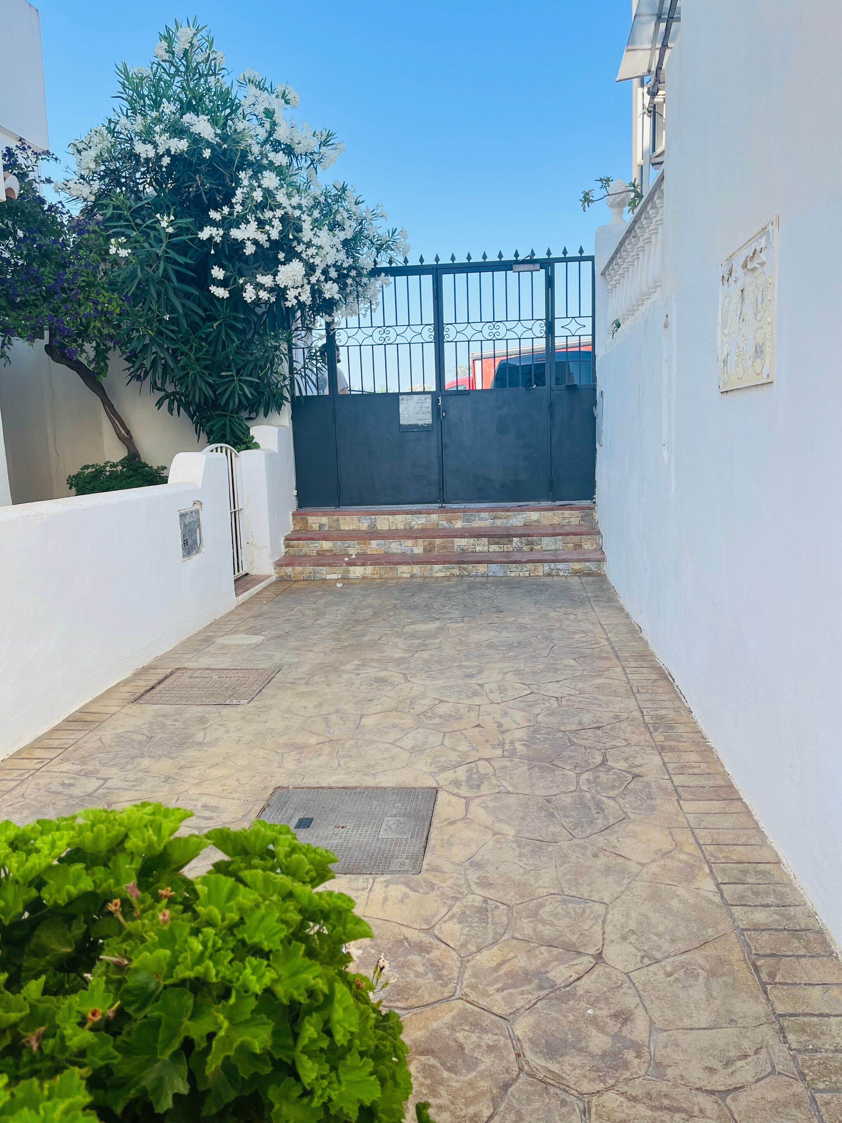A paved courtyard with a gate, steps leading to a building, and a tree with white flowers.