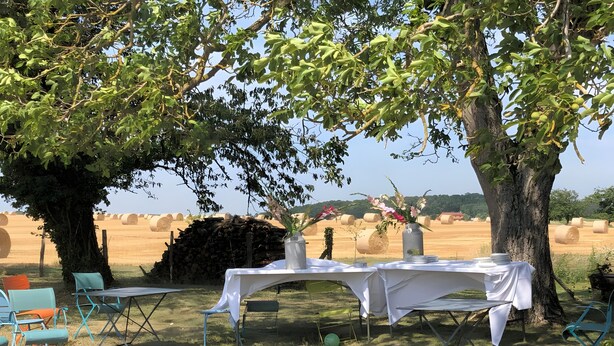 An outdoor dining area with a table set under a tree, surrounded by chairs, and hay bales in the background.