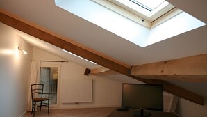 A room with a sloped ceiling, a skylight, a chair, a radiator, and a television.