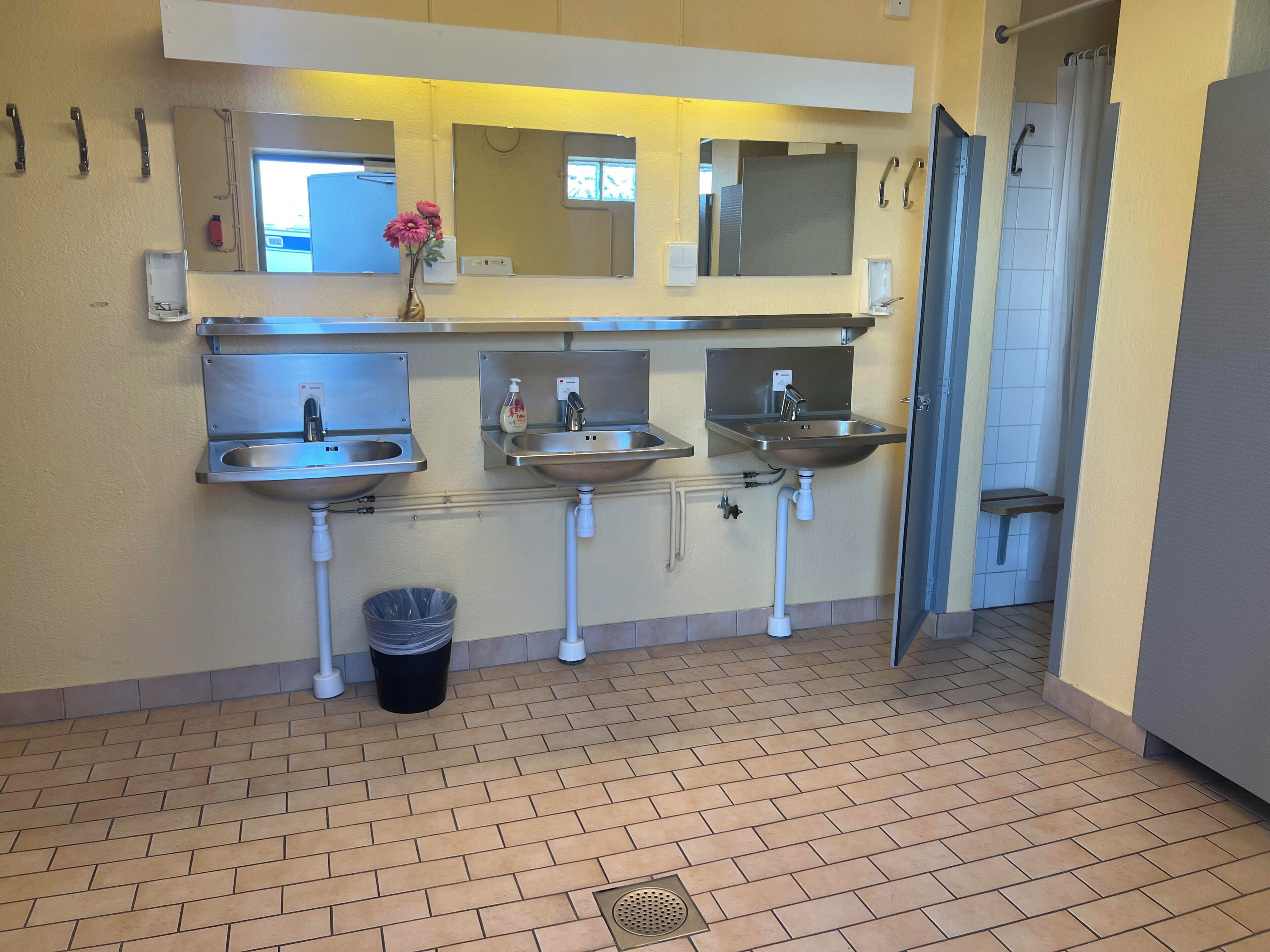 Bidet, towels, soap, toilet paper