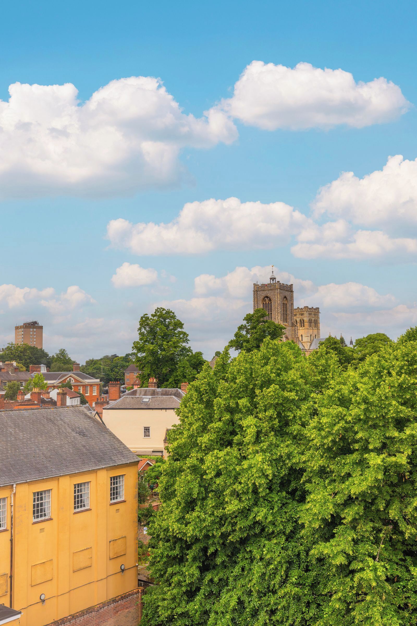 A historic building with a prominent tower, surrounded by residential buildings and lush green trees.