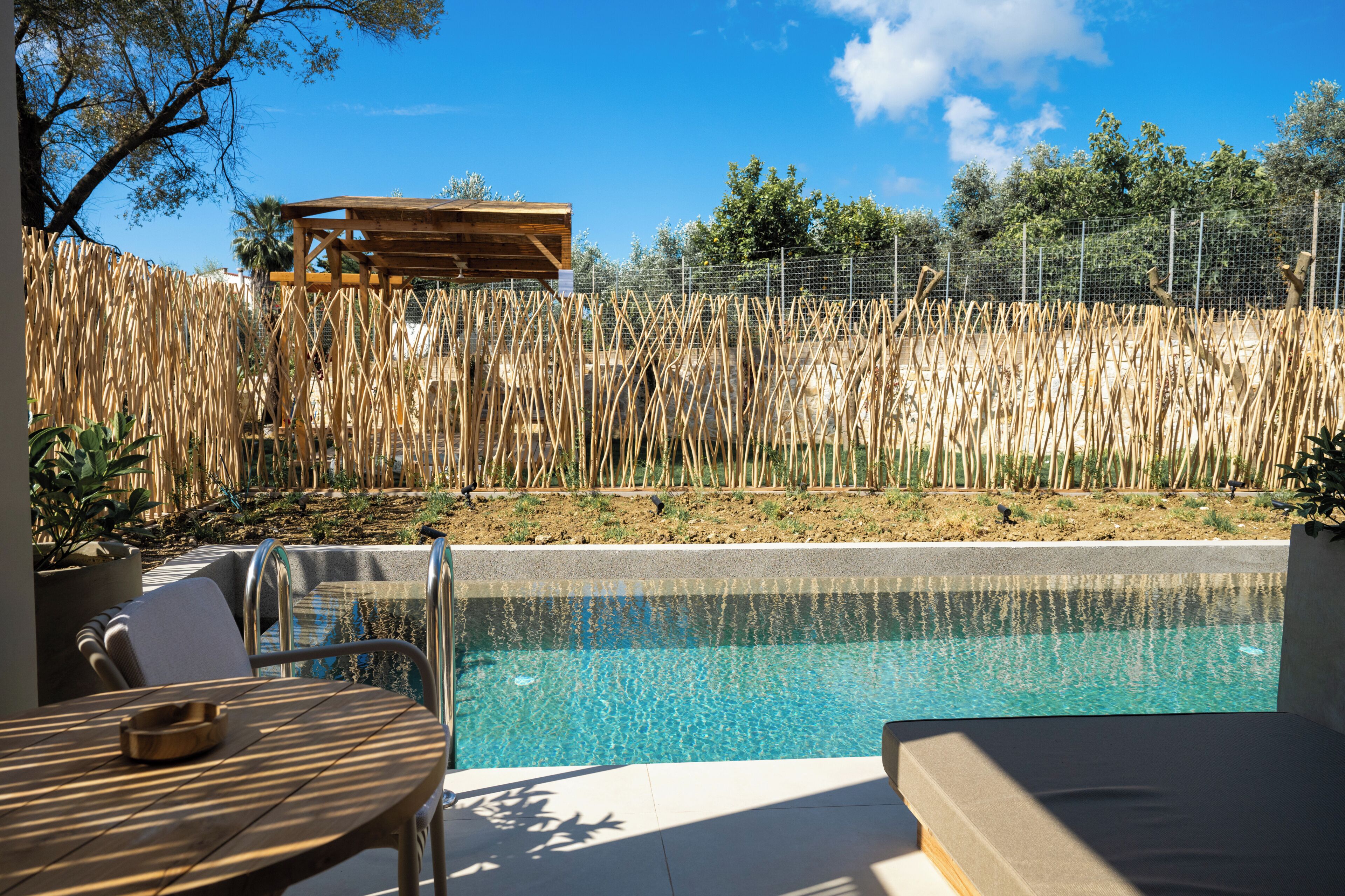Superior Room with Shared Pool | Terrace/patio