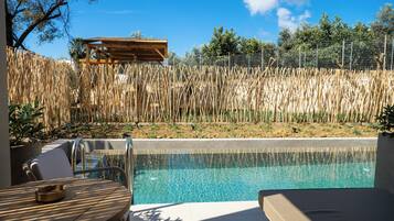 Superior Room with Shared Pool | Terrace/patio