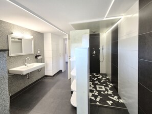 Dusche, Haartrockner, Handtücher