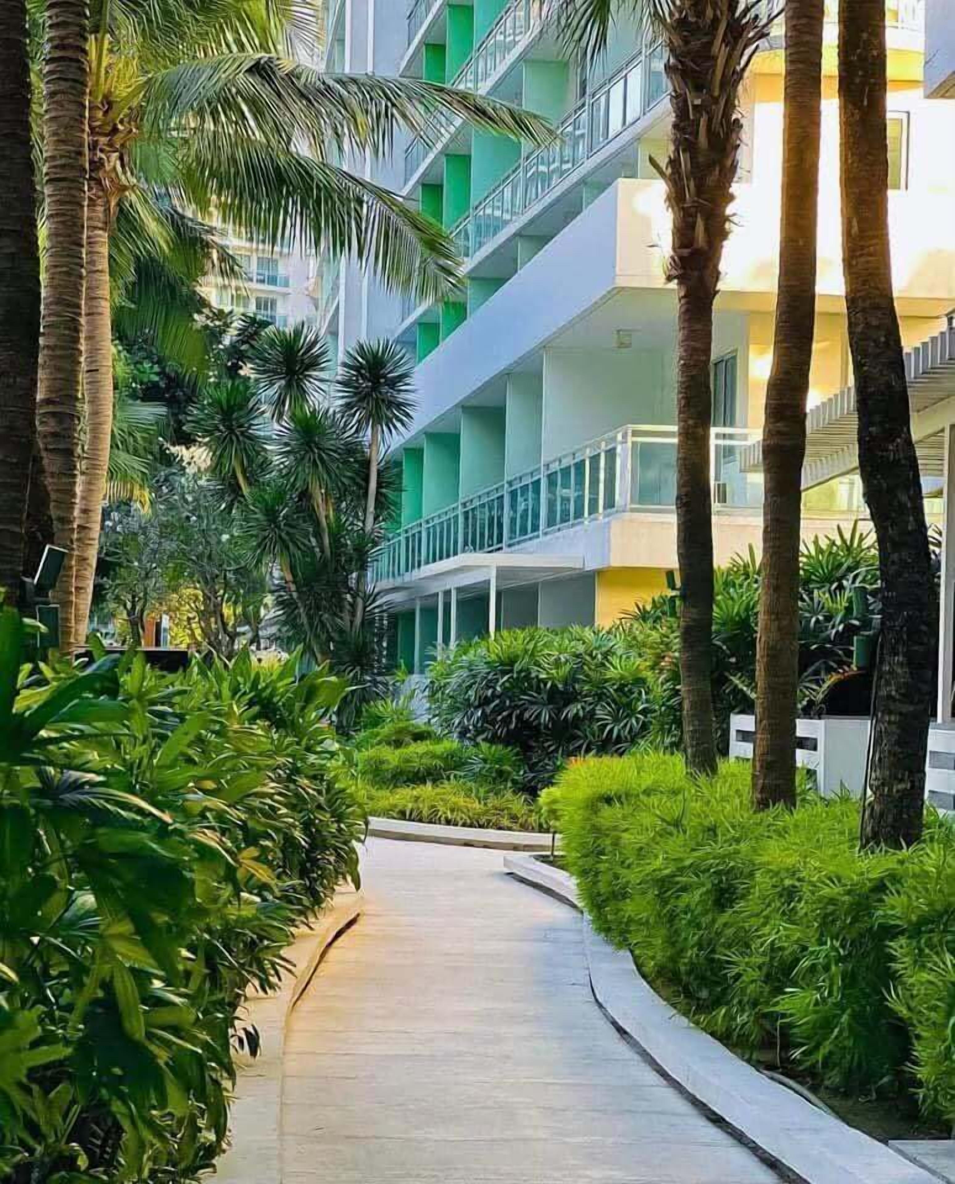 Un camino curvo bordeado por palmeras y abundante vegetación, que conduce a un edificio moderno con varios balcones.