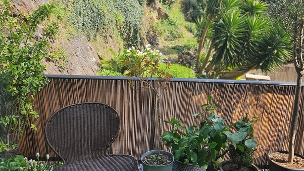 A patio with a wicker chair, a small table, and potted plants. - Duplex standing 3 beds sea view - terrace/ Cancale (Cancale)