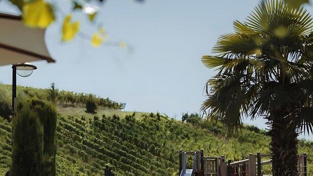 Un espace piscine avec un toboggan, des palmiers et, au loin, un vignoble.