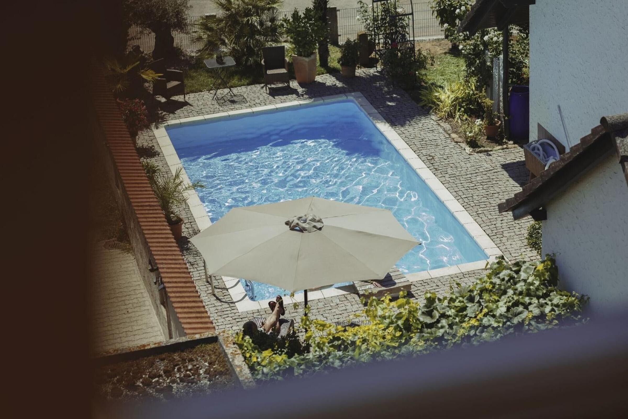 A swimming pool with an umbrella, surrounded by potted plants and outdoor furniture.