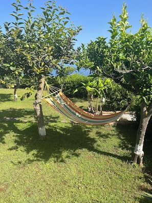 Un hamac est suspendu entre deux arbres, dans un espace herbeux, sous un ciel dégagé.