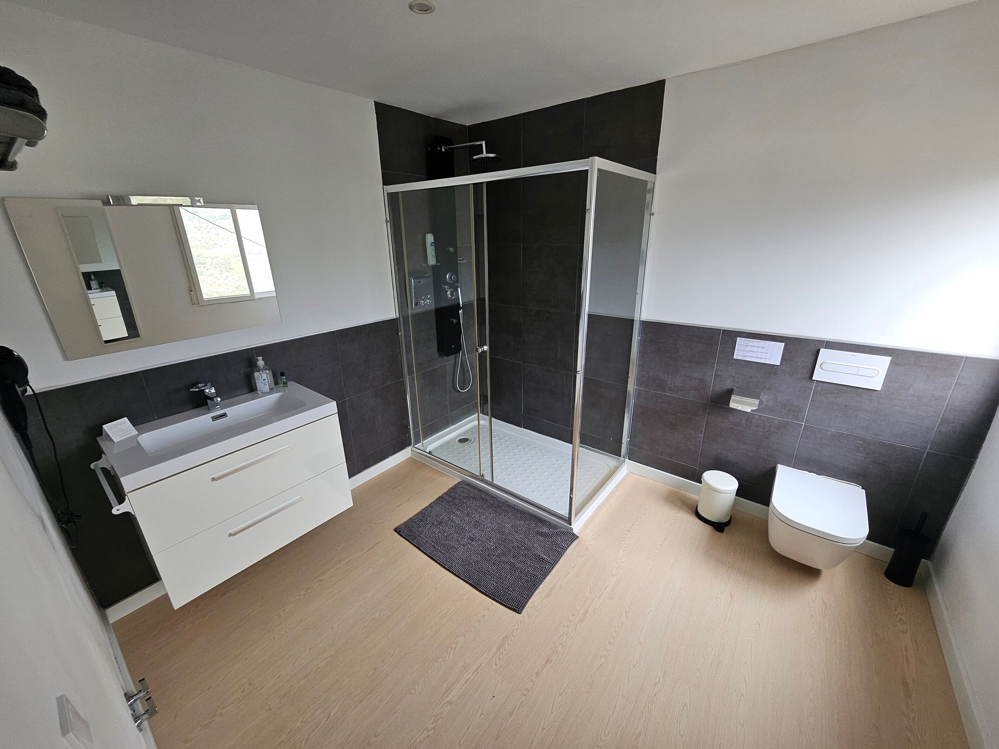Shower, hair dryer, towels