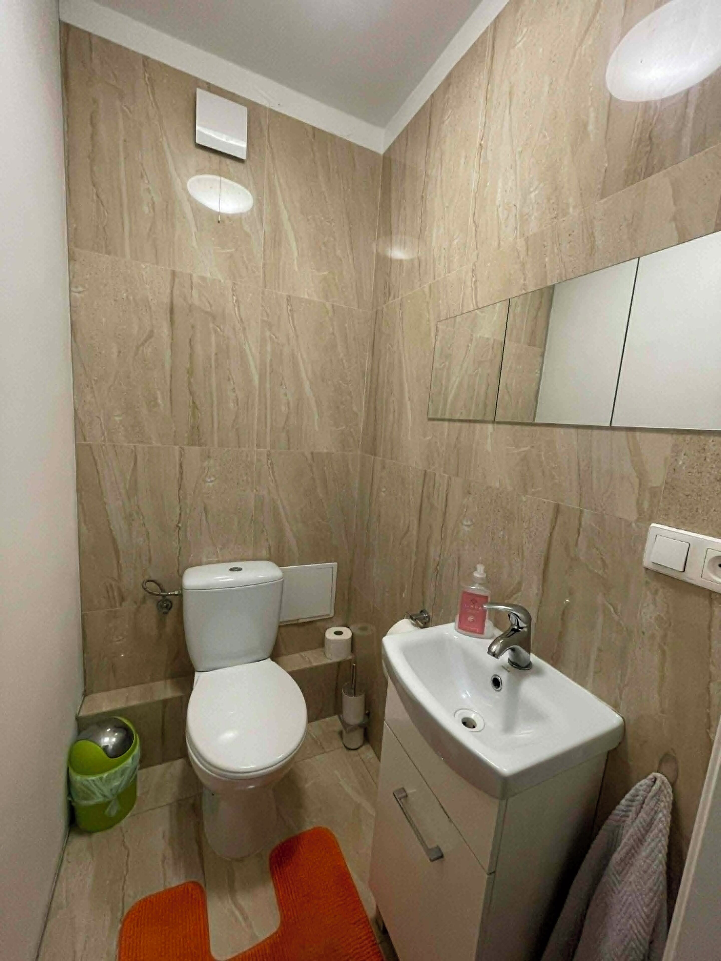 A bathroom with a toilet, sink, and mirror.