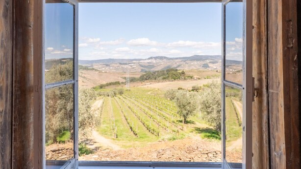 Une pièce dotée d’une grande fenêtre en arc d’où l’on peut admirer un paysage de vignes.
