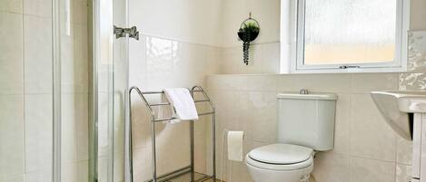 A bathroom with a glass shower enclosure, a toilet, a towel rack, and a hanging plant.