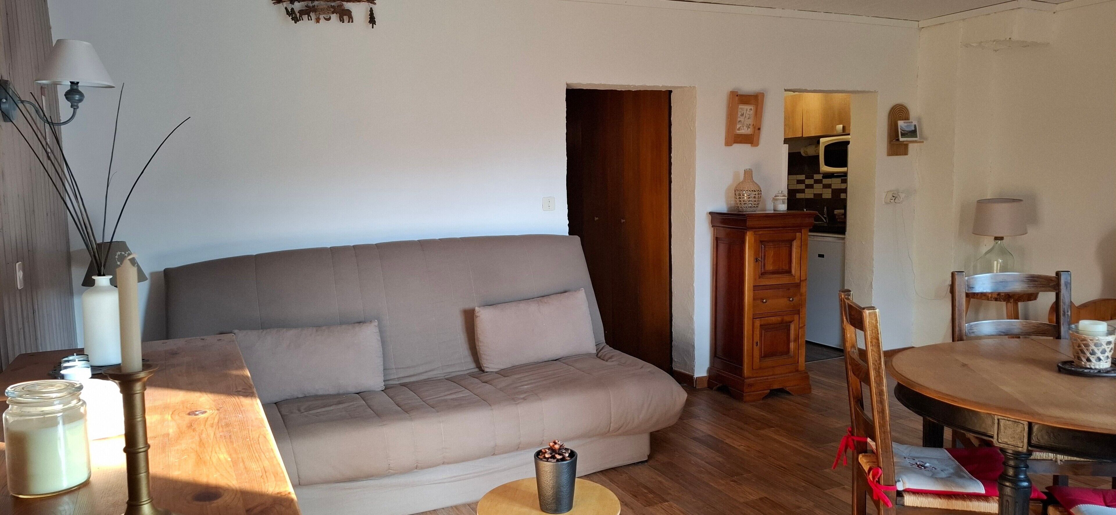 TV, DVD player, table tennis