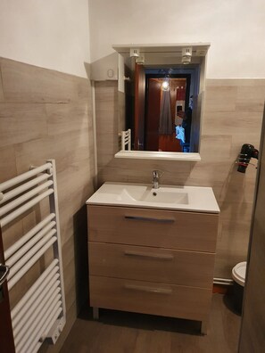 Shower, hair dryer, towels - Apartment "Les Cerfs" with Mountain View, Balcony and Wi-Fi (Aillon-le-Jeune)