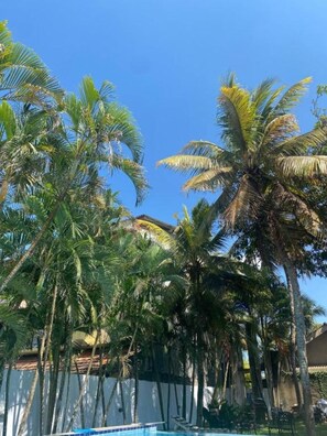 Pool - Villa Amaara - 5 Bedrooms, large pool, private, in Kalutara, 100m from beach (Wadduwa)