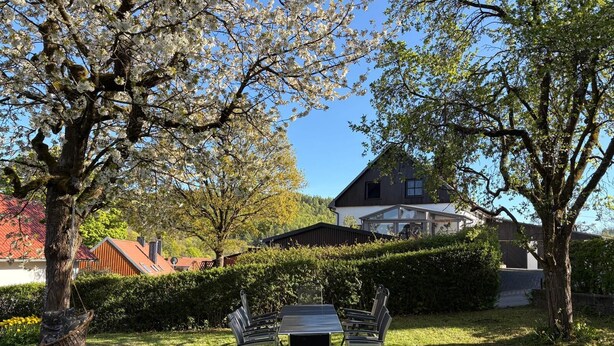 A residential area with a house, a dining table with chairs, and a hammock.