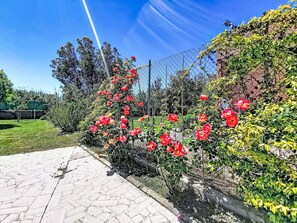 Ein Garten mit einem gepflasterten Weg, einem Zaun aus Maschendraht und einer Backsteinmauer.