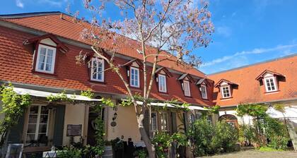 Landhauswohnung, komfortable FeWo mit Terrassen- u. Gartenplatz
