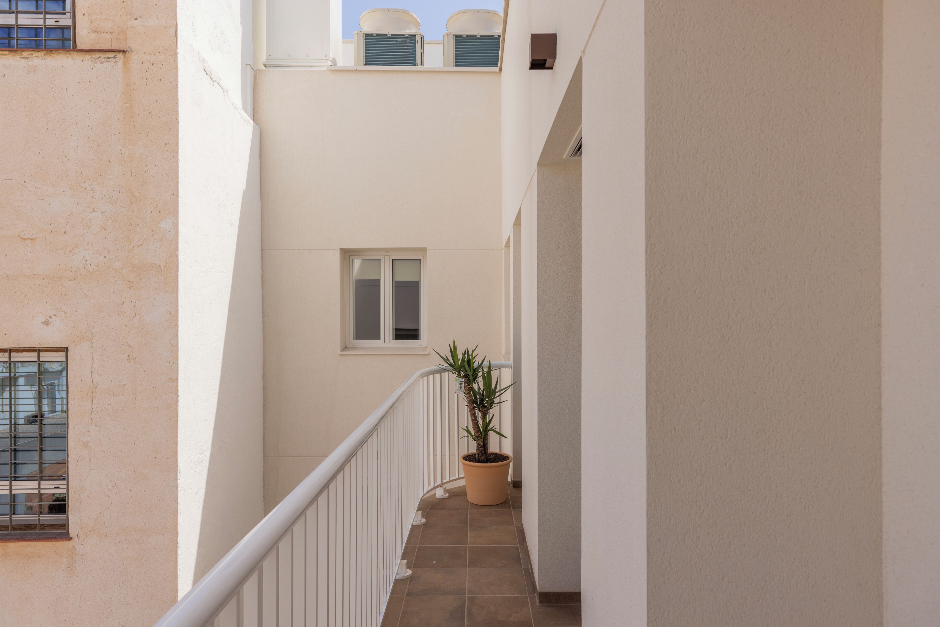 A narrow corridor with a potted plant, a window, and a white railing.