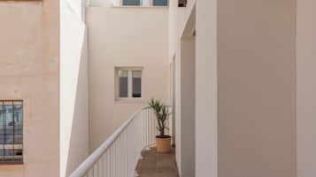 A narrow corridor with a potted plant, a window, and a white railing.