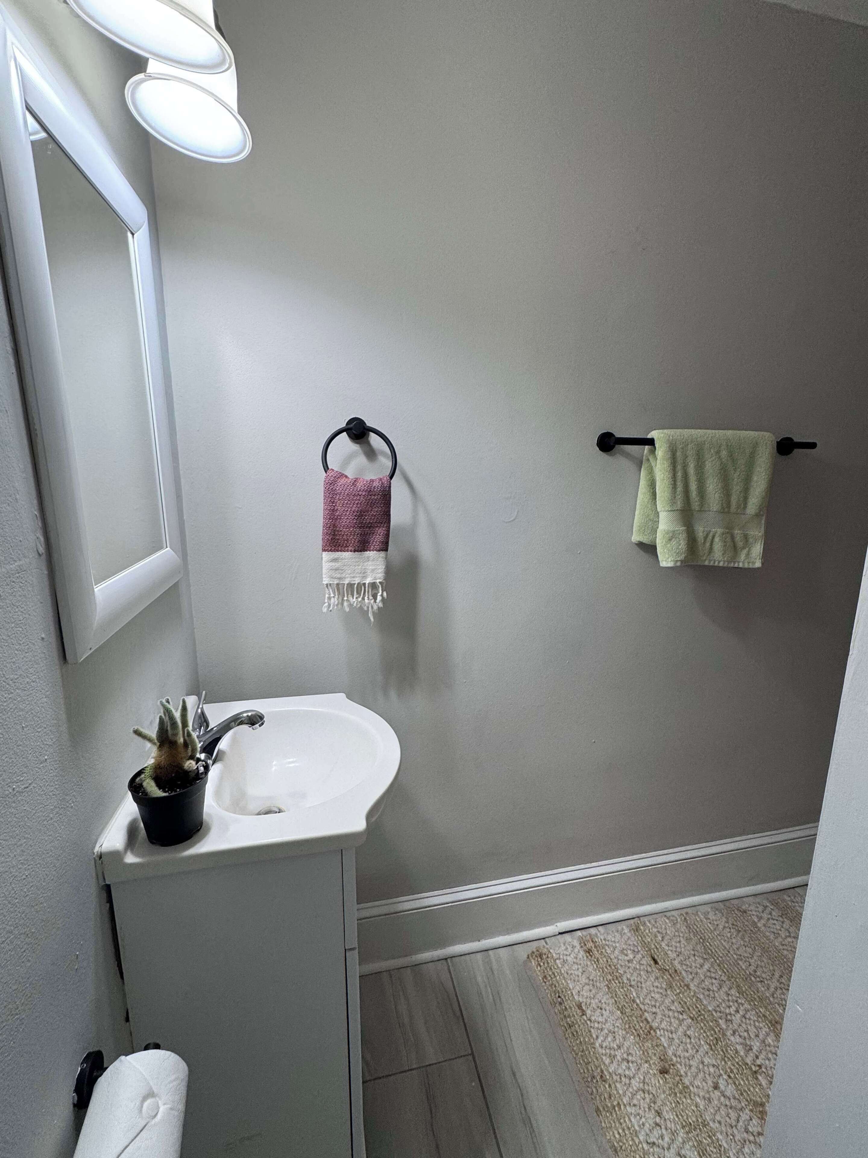 Une salle de bain avec un lavabo blanc, un miroir, un porte-serviettes avec une serviette verte et une petite plante en pot.
