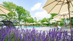 A poolside area with umbrellas, a pool, and purple flowers.