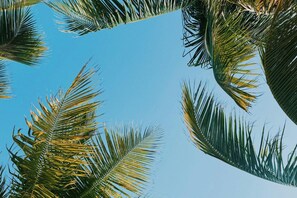 Property grounds - Enjoy golf course & gulf water views at 1666 Lands End Village, a 3-bedroom, 3-bath Captiva condo just a quick walk to Sunset Beach. Guests have access to the association pool, BBQ grills, and pickleball & tennis court. 5-night minimum. Photos coming (Captiva Island)