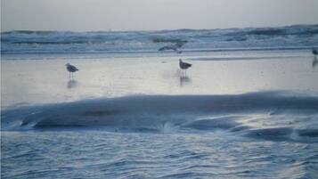 Perto da praia