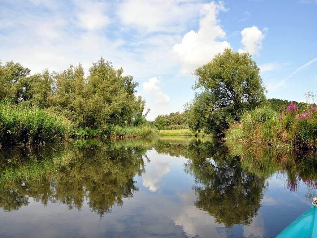 Ein ruhiger Fluss, gesäumt von Bäumen und Grünpflanzen.