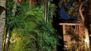 Vista nocturna de un edificio rodeado de abundante follaje, con una señal indicando direcciones.