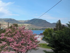 Un quartier résidentiel offrant une vue sur un lac et des montagnes, avec une ligne électrique et un arbre à fleurs roses.