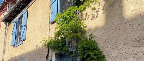 Detall de l'exterior