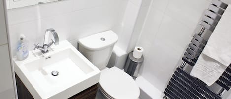 Ducha, secador de pelo, toallas y papel higiénico