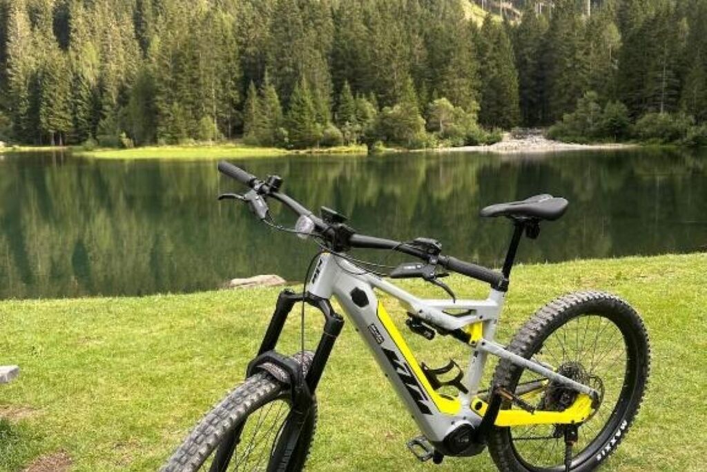 En mountaincykel står parkerad på gräset nära en sjö, med en skog i bakgrunden.