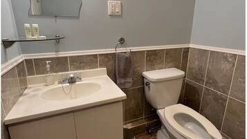 A bathroom with a sink, toilet, and mirror.