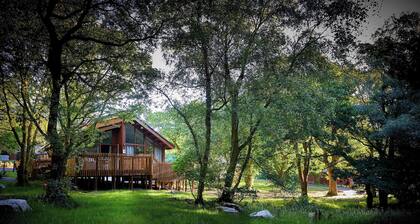 Beddgelert Silver Birch Secluded View, Eryri