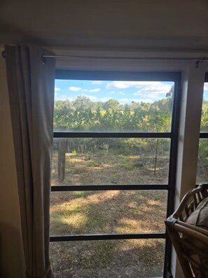 Ein Zimmer mit großem Fenster, einem Sessel und Blick auf eine bewaldete Landschaft.
