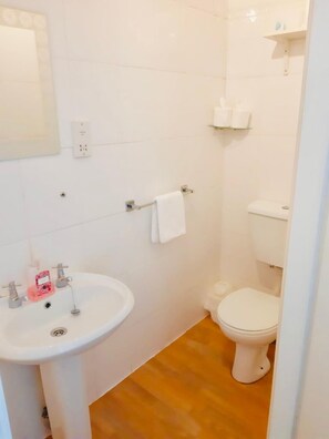A bathroom with a white sink, a toilet, and a shower area. - The Beeches Hotel (Blackpool)