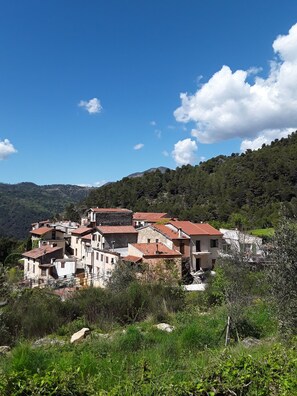 A hillside village with traditional buildings, a clear sky, and a mountainous backdrop. - HAMLET HOUSE in the heart of the mountains (Breil-sur-Roya)