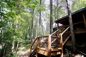 Property grounds - Camp Firefly, Secluded Cabin, Hot Tub, Forest View, Cozy Escape great for couples with kids! (Campton)