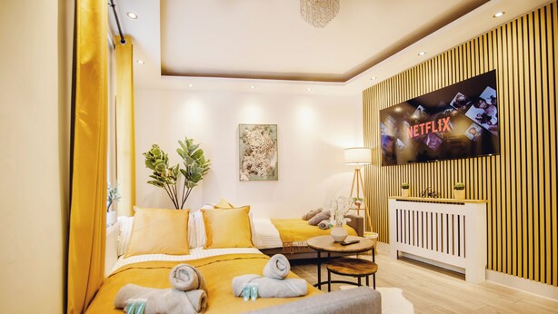 Une chambre d’hôtel avec un lit, une télévision, une plante et un bureau avec une lampe.