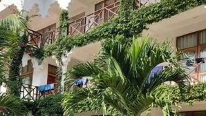 Ảnh chưa phân loại, 4 trong số 8 ảnh, nút