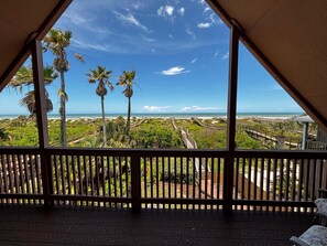 Property grounds - Seaside Siesta - Ocean Front, Private Beach Walkover, Charming (St. Augustine)