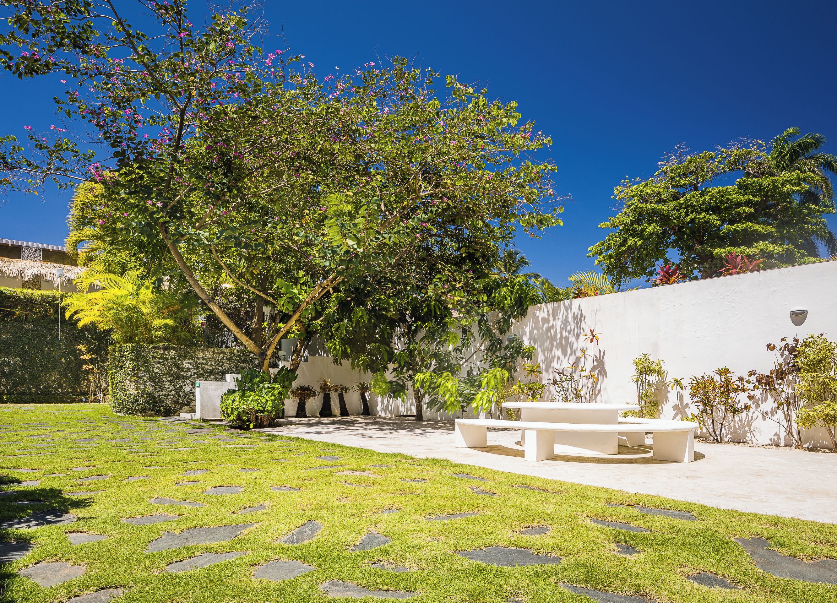 A courtyard with a white wall, a bench, and a tree with pink flowers.